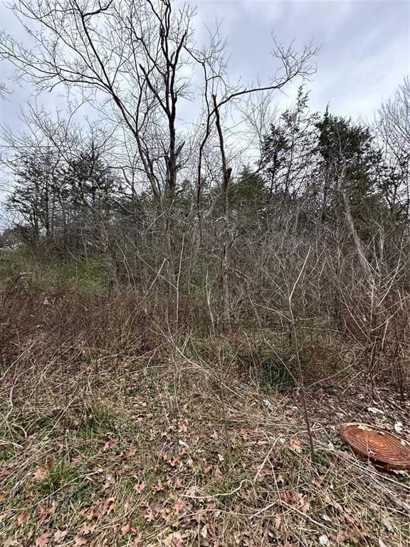 0.17 acres in Grayson County gallery image 3