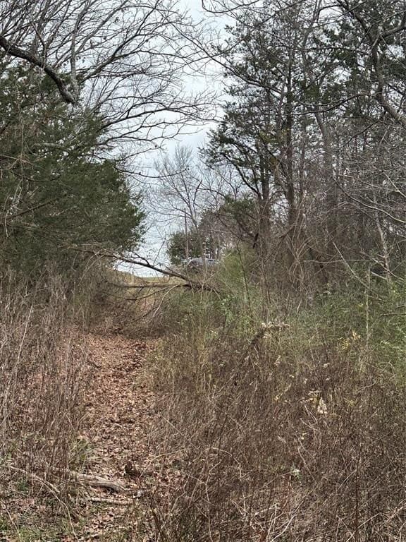 0.17 acres in Grayson County gallery image 4