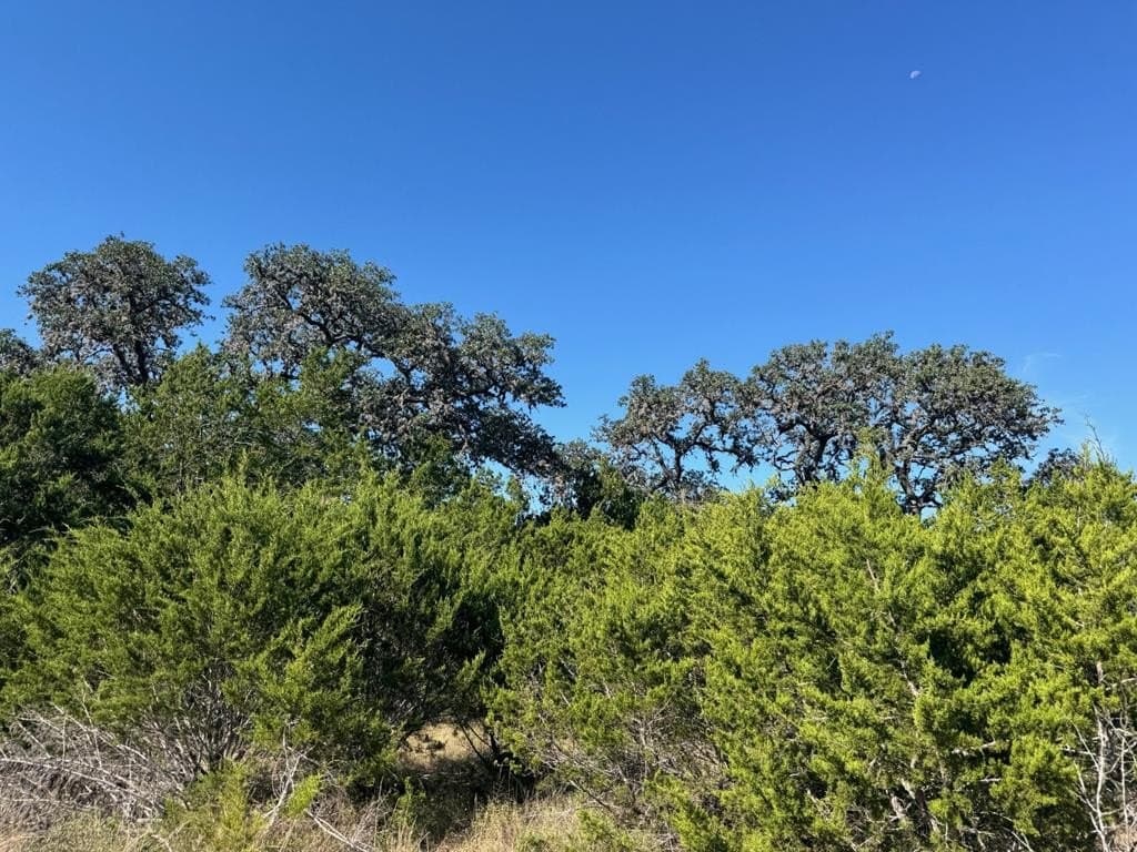 23 acres in Bandera County