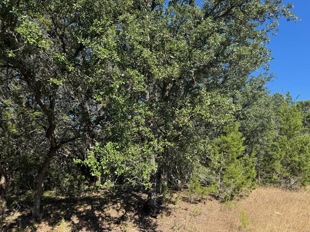 23 acres in Bandera County - photo 6