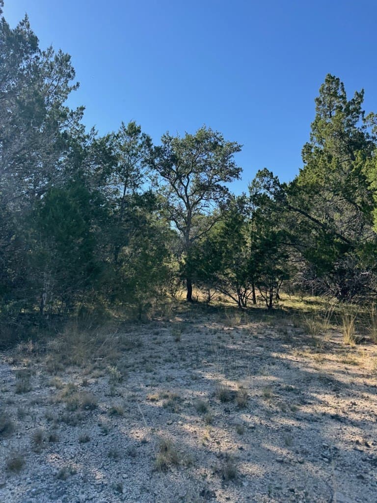 23 acres in Bandera County gallery image 4