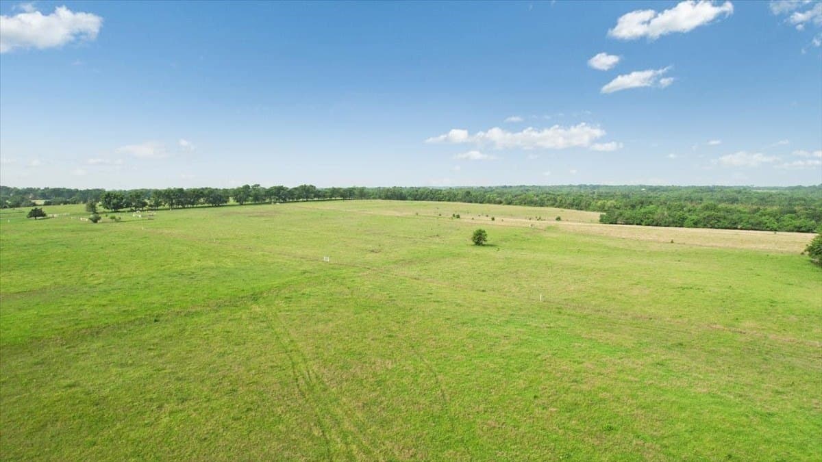 229.3 acres in Fannin County - photo 11
