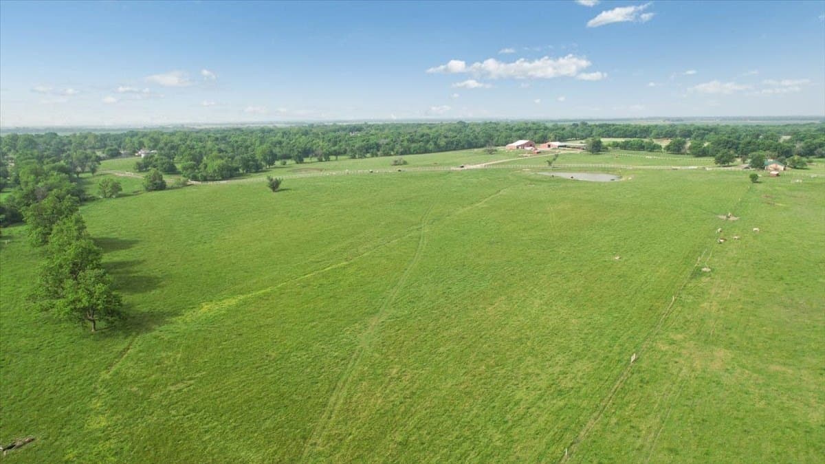 229.3 acres in Fannin County - photo 24