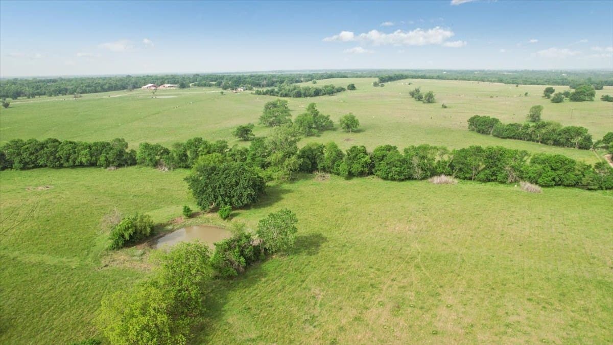 229.3 acres in Fannin County - photo 17