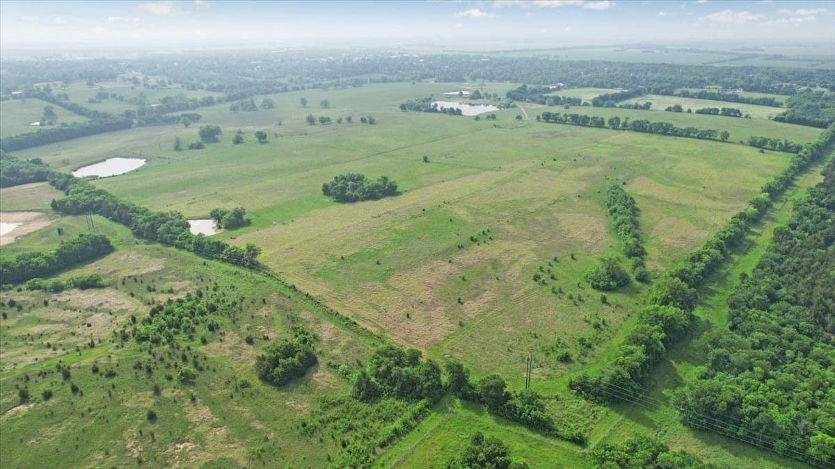 229.3 acres in Fannin County - photo 32