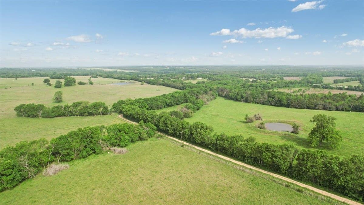 229.3 acres in Fannin County - photo 16