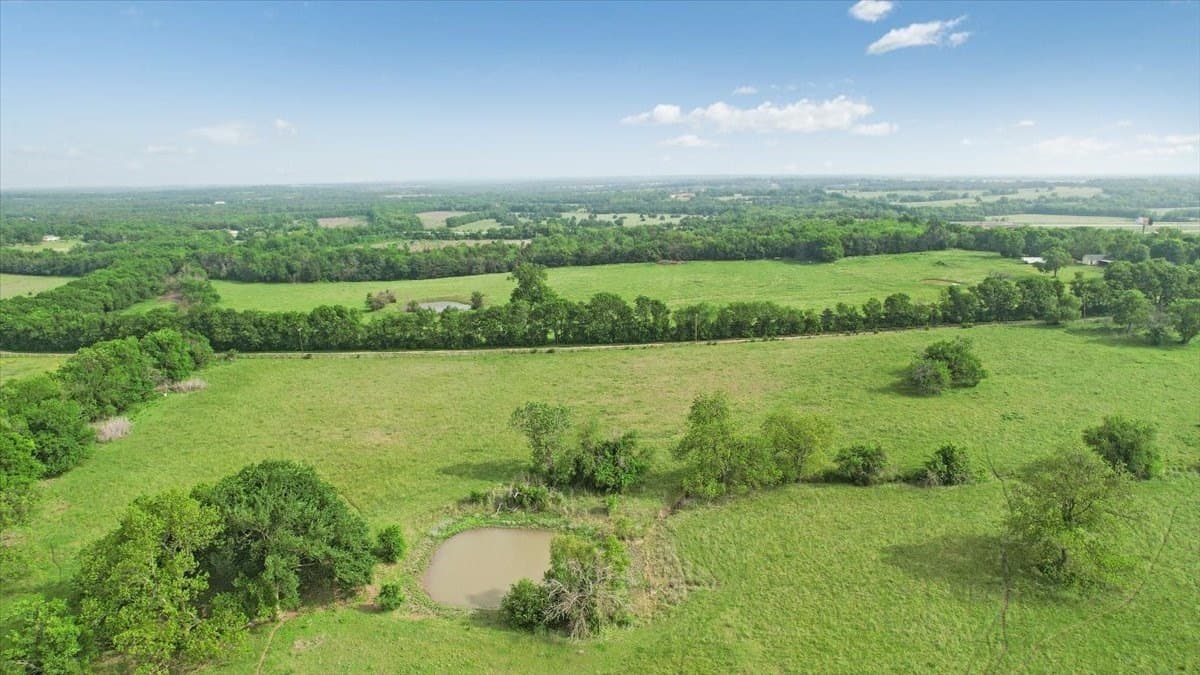 229.3 acres in Fannin County - photo 15