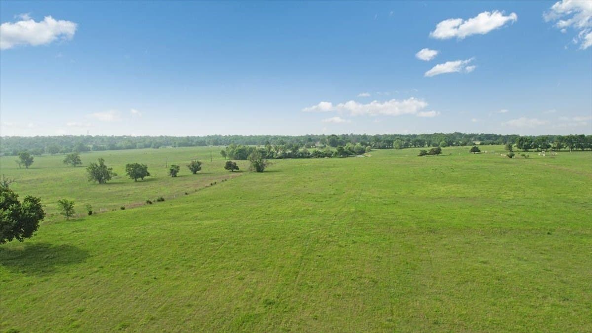 229.3 acres in Fannin County - photo 12