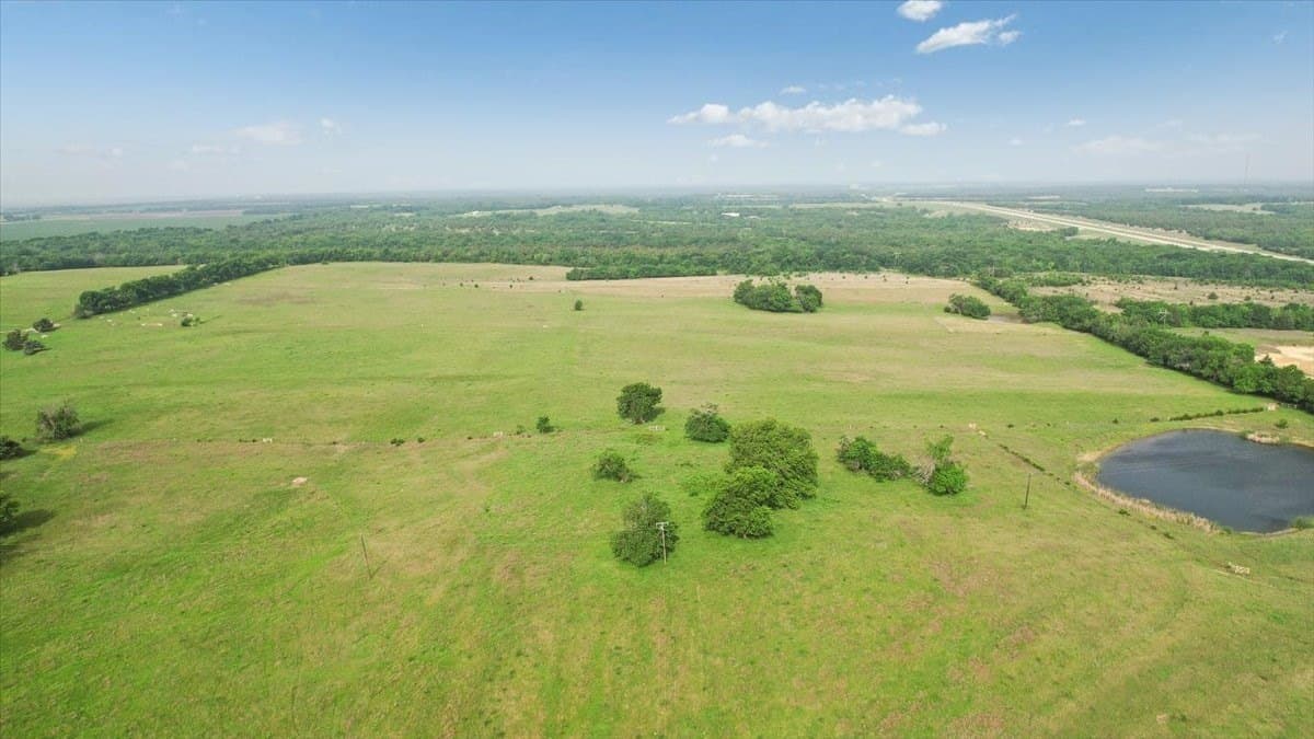 229.3 acres in Fannin County - photo 7