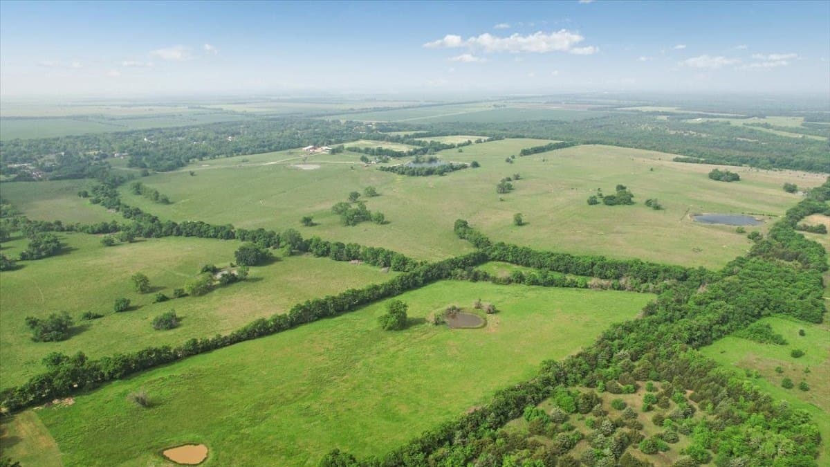 229.3 acres in Fannin County - photo 31
