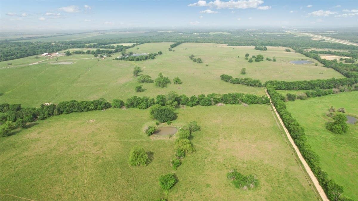 229.3 acres in Fannin County - photo 19