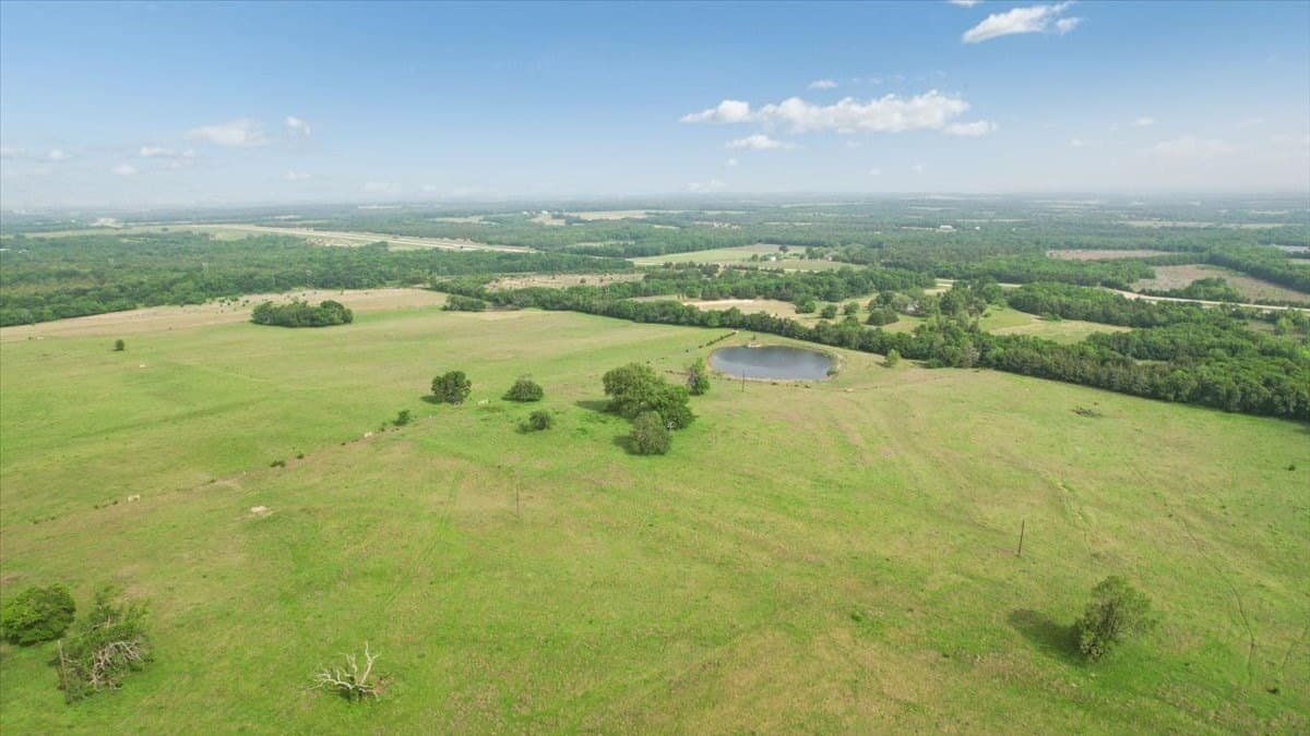 229.3 acres in Fannin County - photo 6