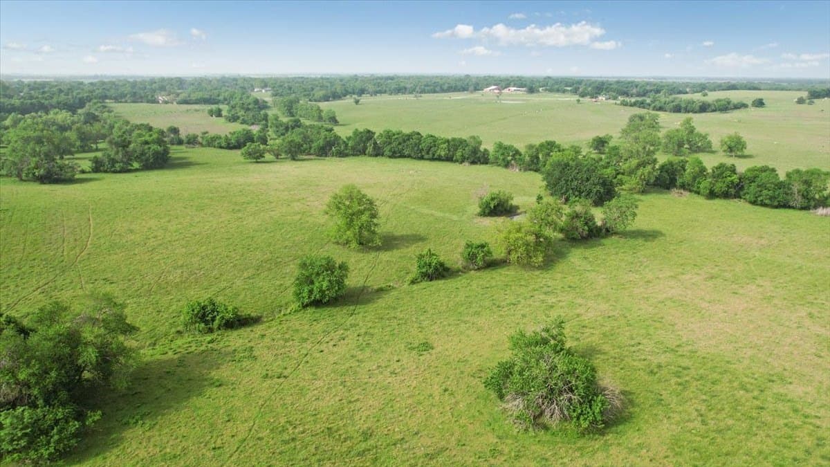 229.3 acres in Fannin County - photo 18