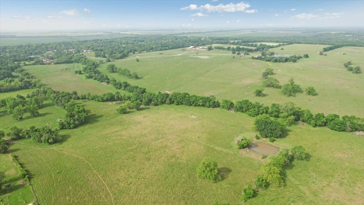 229.3 acres in Fannin County - photo 21