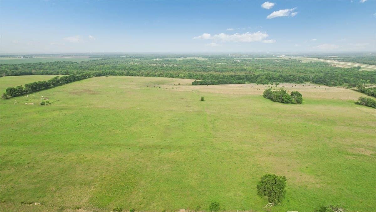 229.3 acres in Fannin County - photo 8
