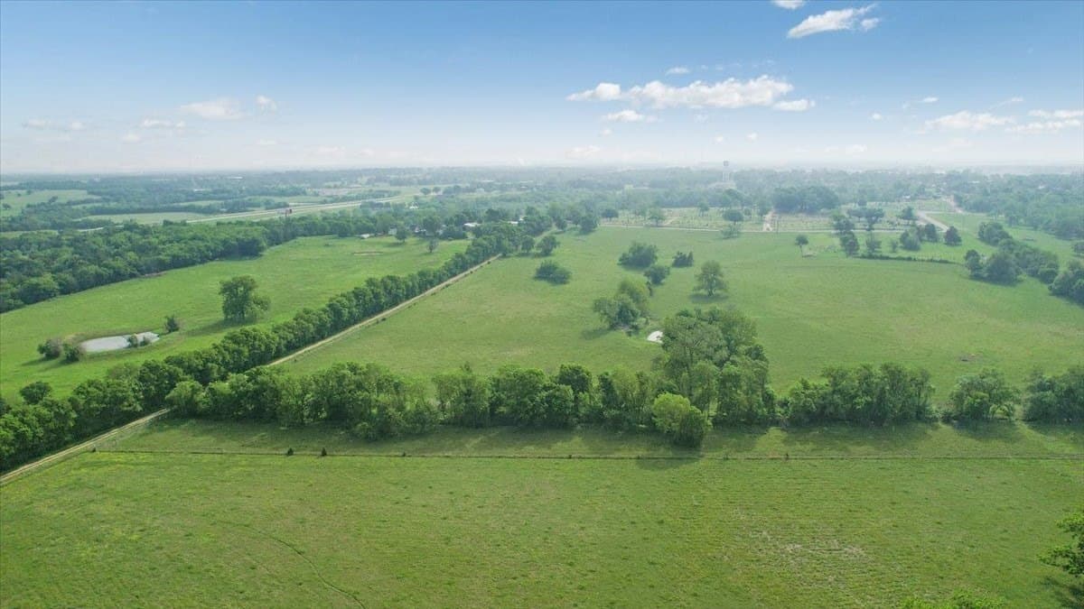229.3 acres in Fannin County - photo 14