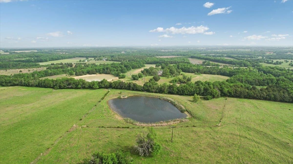 229.3 acres in Fannin County - photo 9