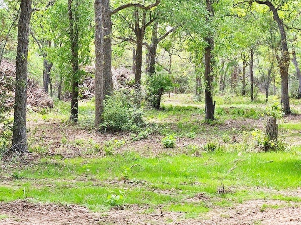3.87 acres in Colorado County - photo 23
