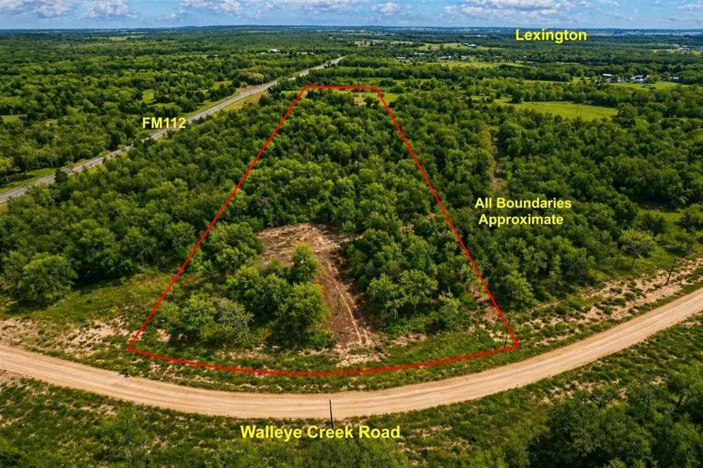 10 acres in Lee County gallery image 3
