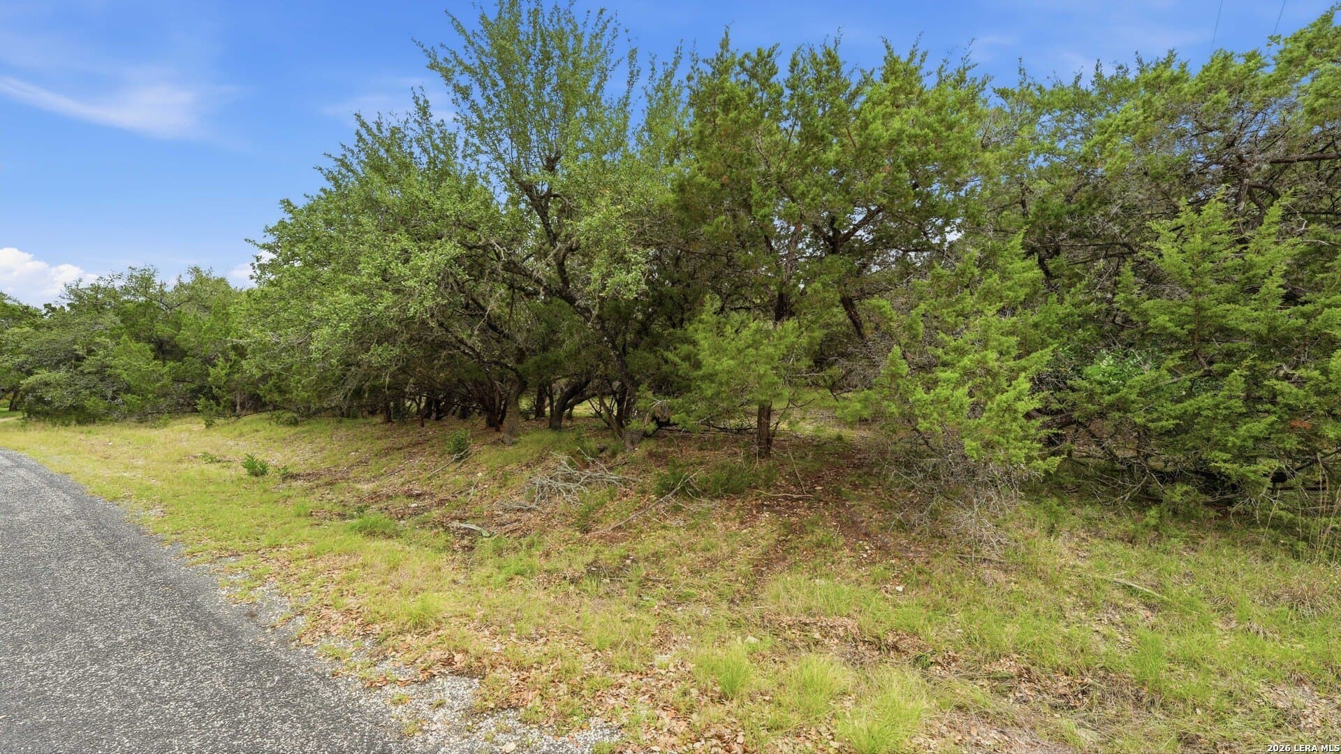 0.74 acres in Bexar County - photo 8