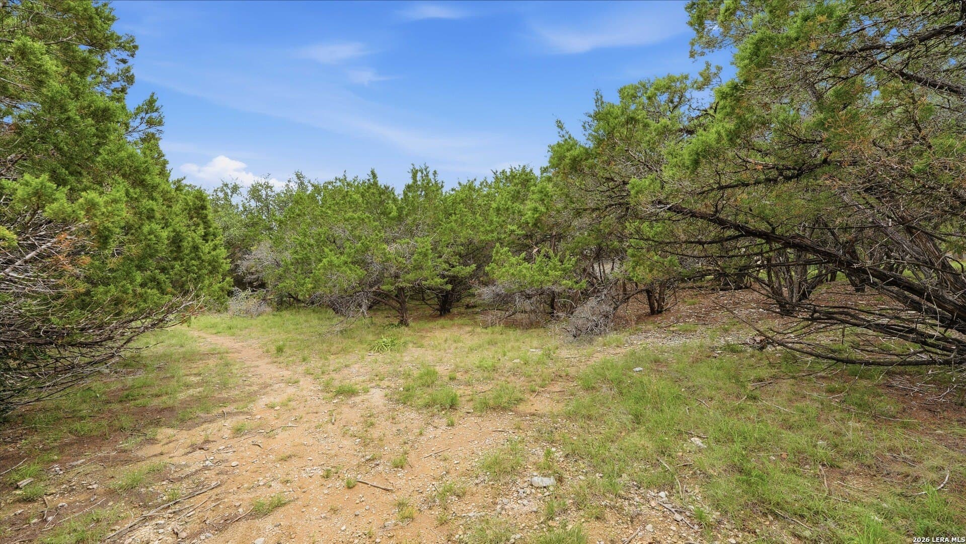 0.74 acres in Bexar County gallery image 4