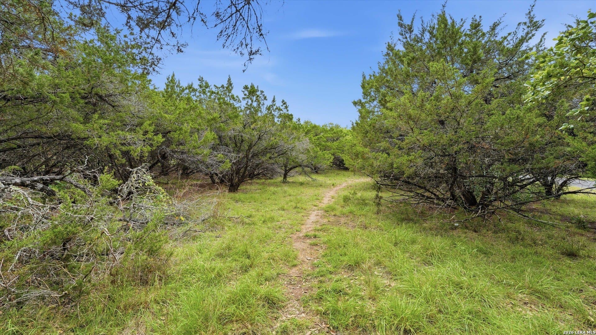 0.74 acres in Bexar County - photo 9