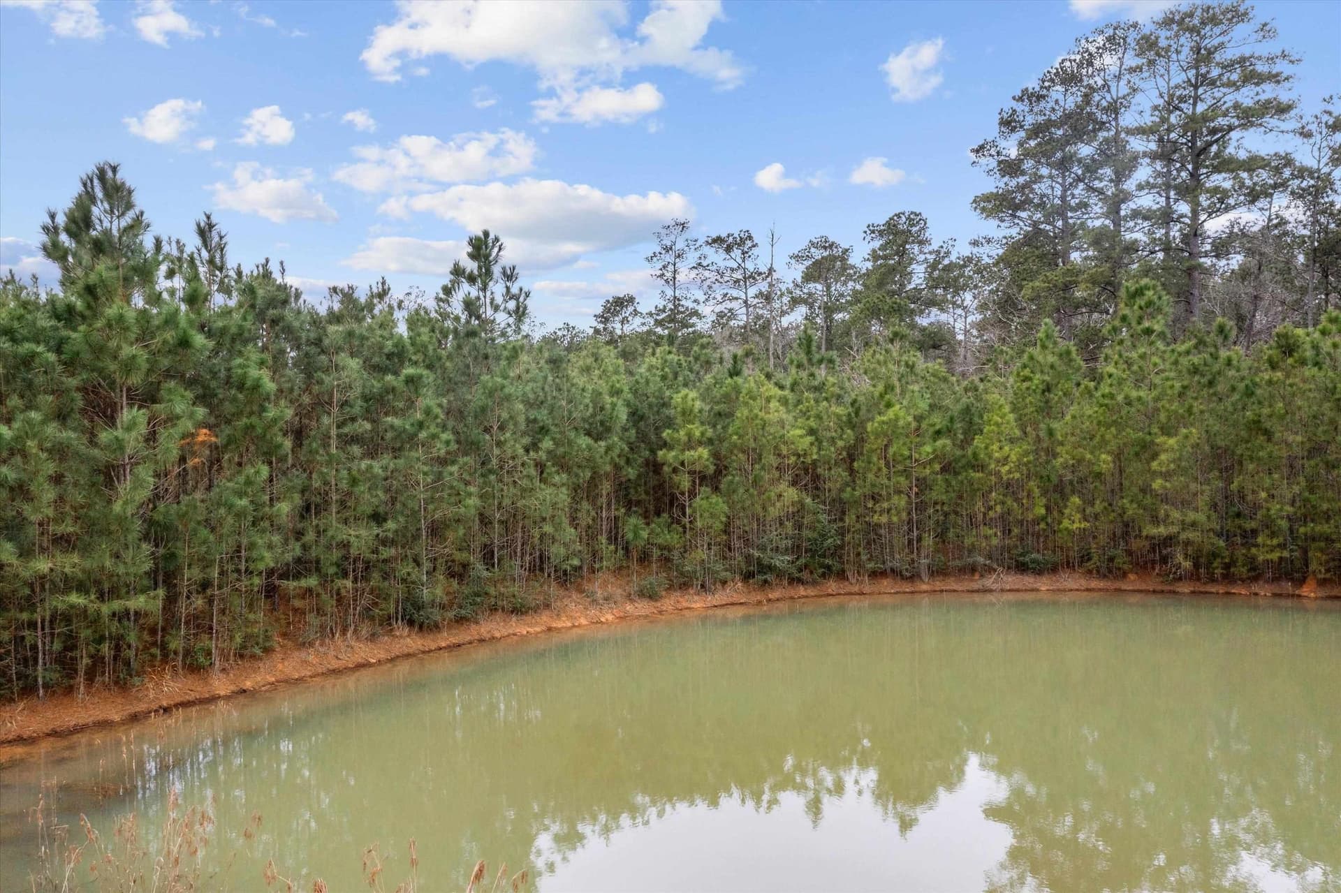 210 acres in Texas County