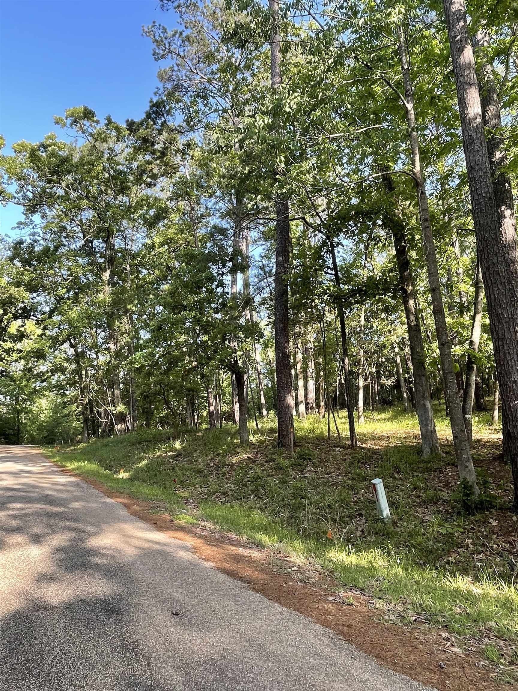 0.67 acres in Texas County - photo 6