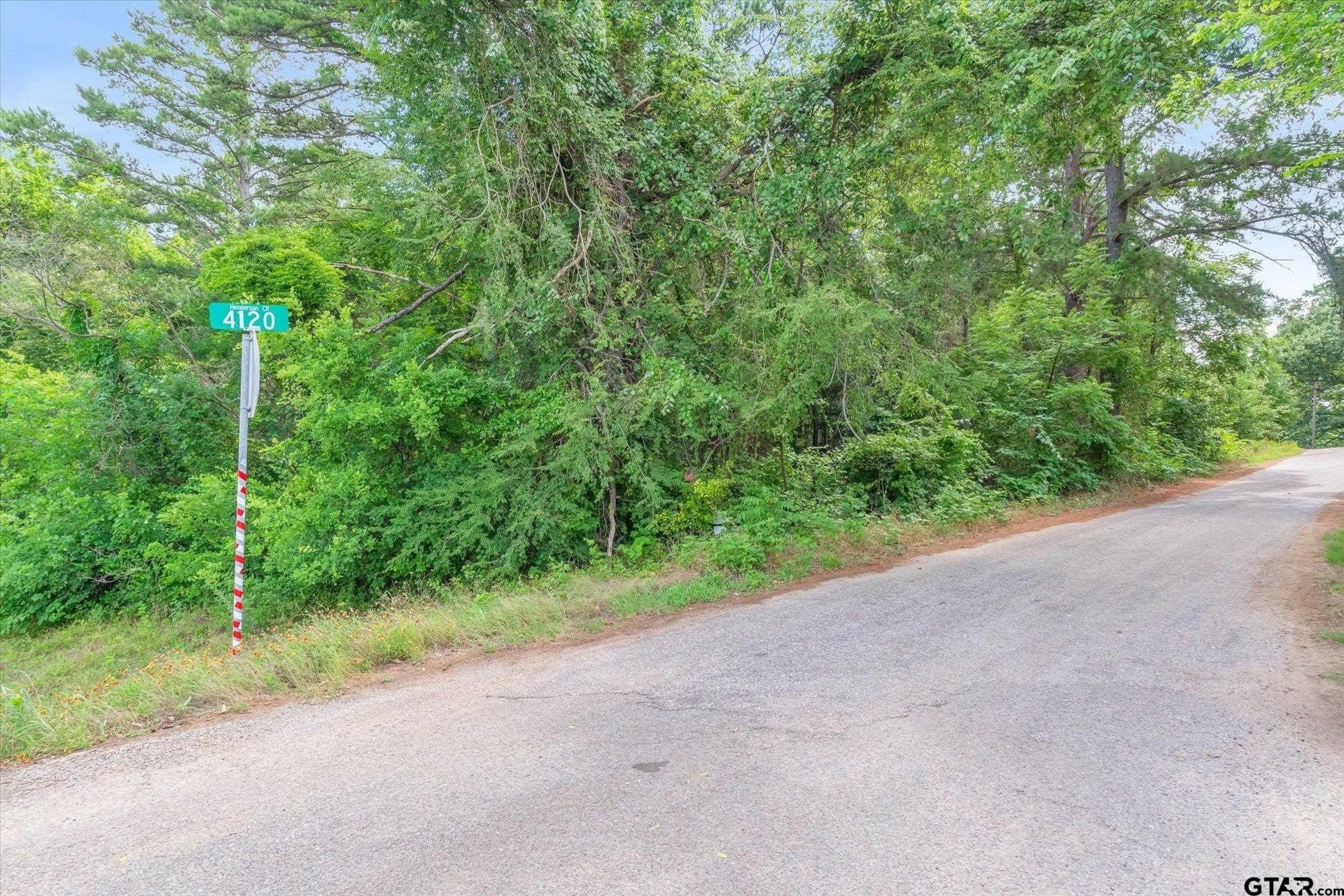 26.65 acres in Henderson County - photo 7