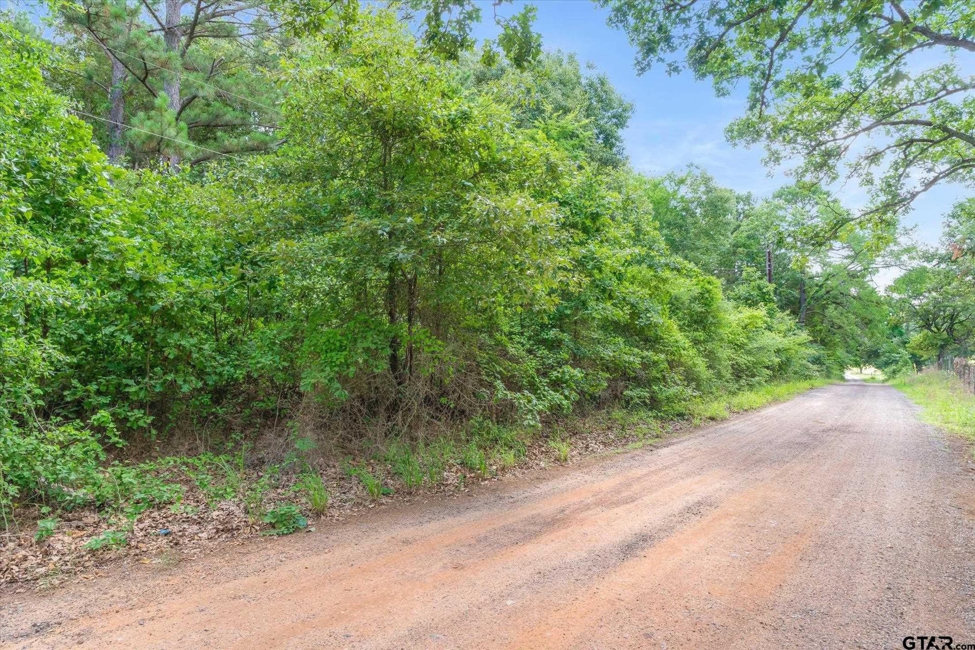 26.65 acres in Henderson County - photo 9