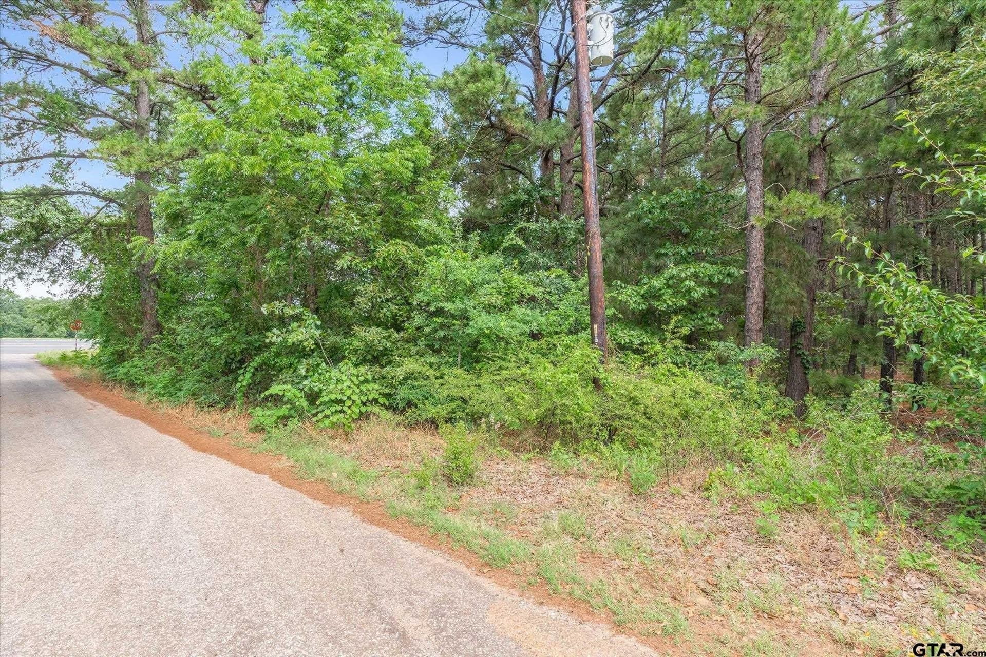 26.65 acres in Henderson County - photo 8