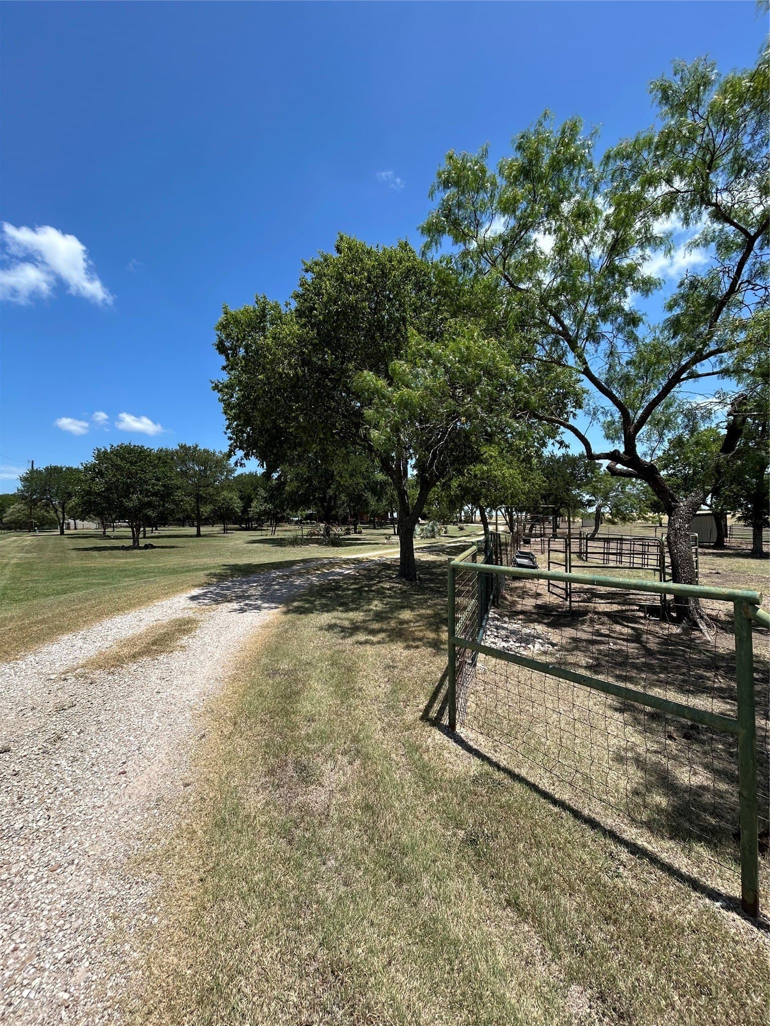 8.25 acres in Ellis County gallery image 2