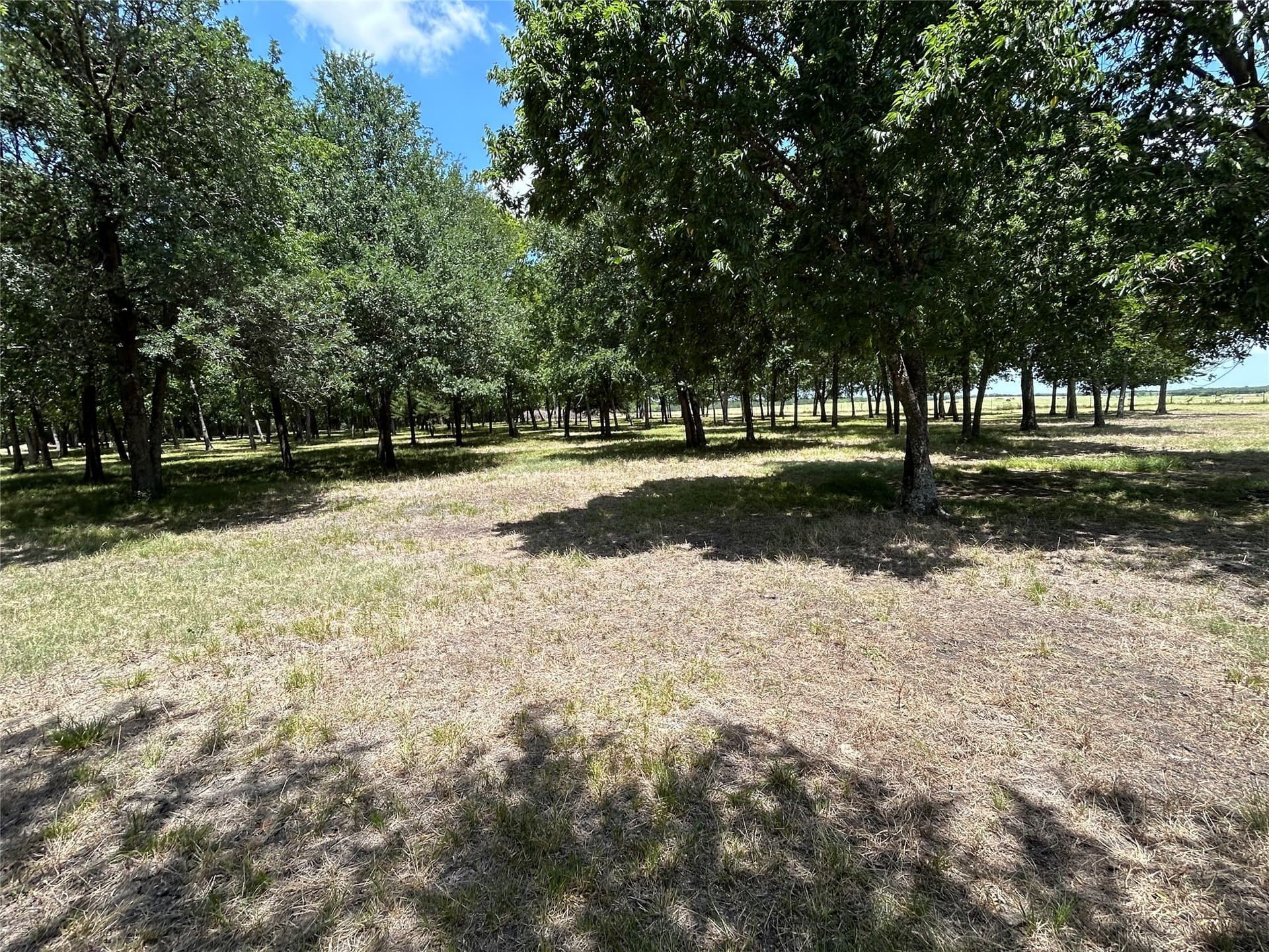 8.25 acres in Ellis County - photo 20