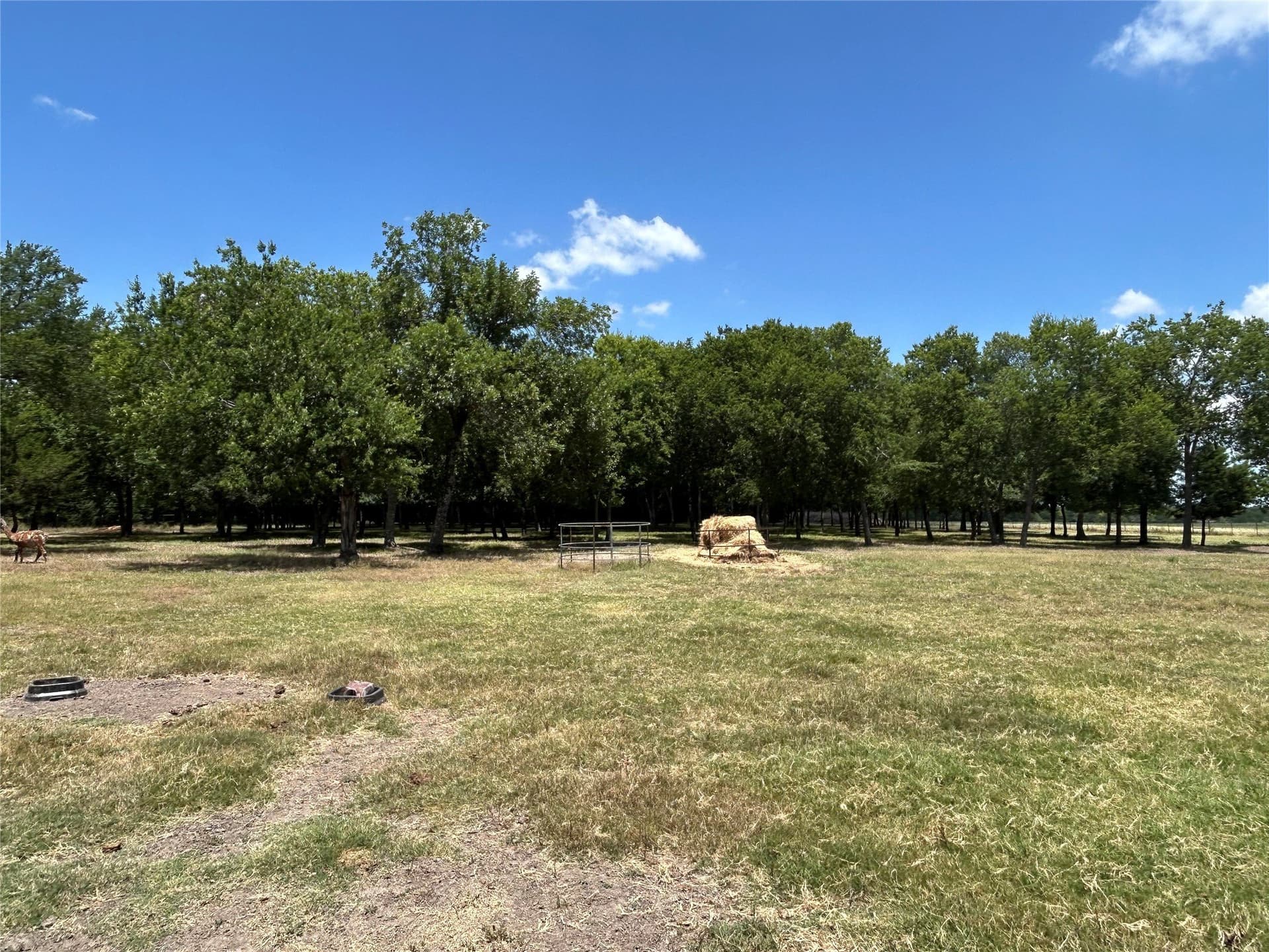 8.25 acres in Ellis County - photo 21