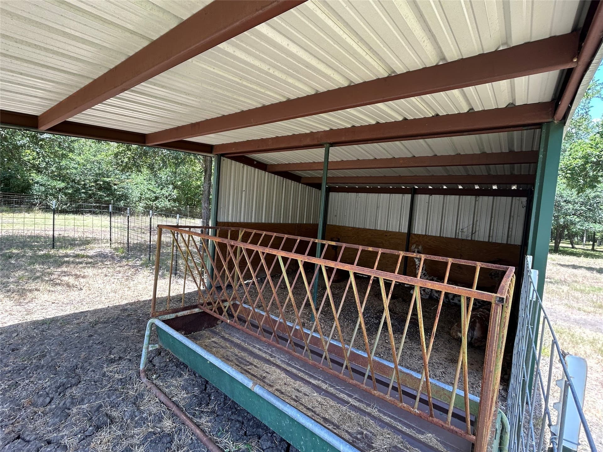 8.25 acres in Ellis County - photo 18