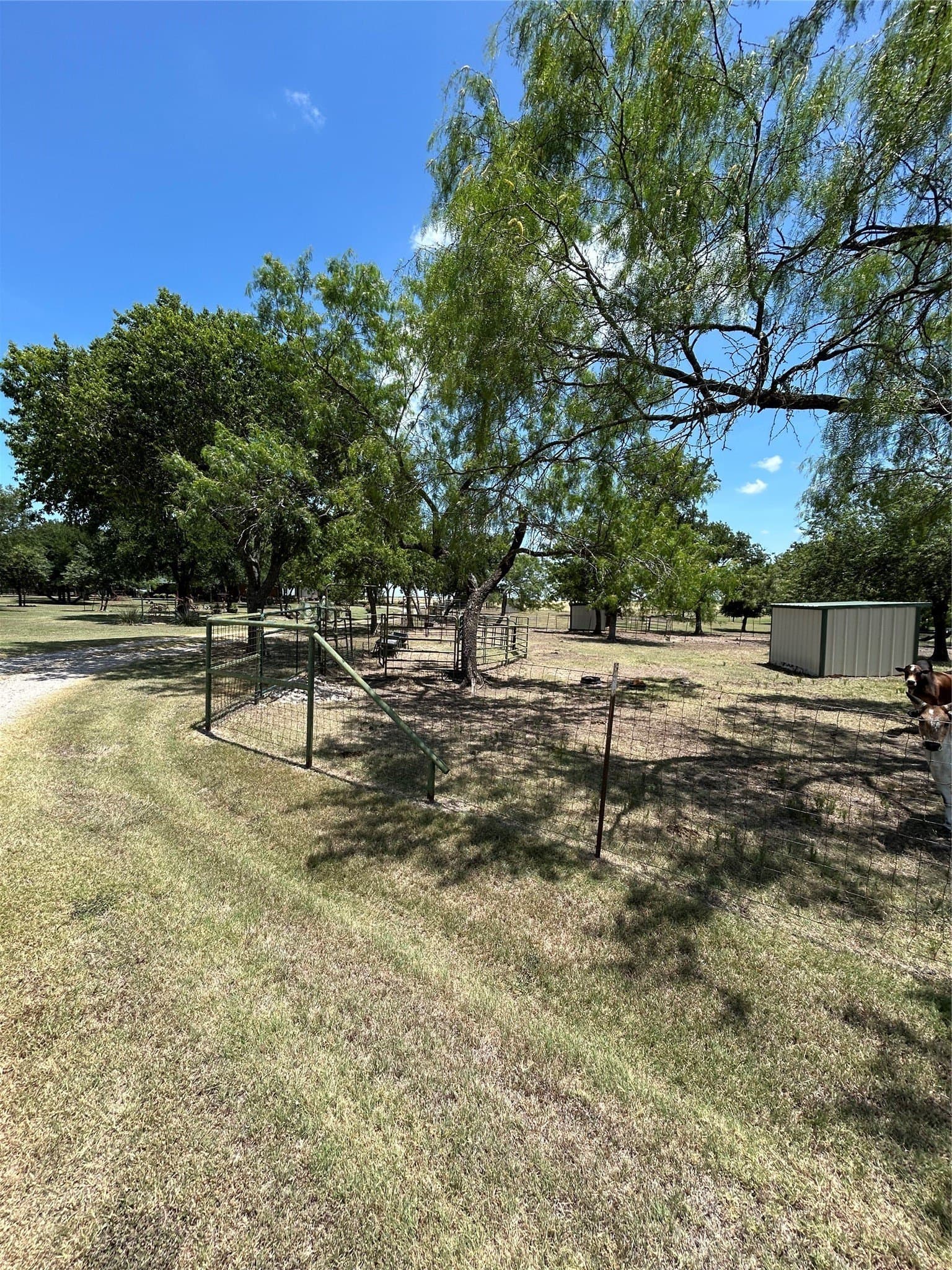 8.25 acres in Ellis County - photo 24