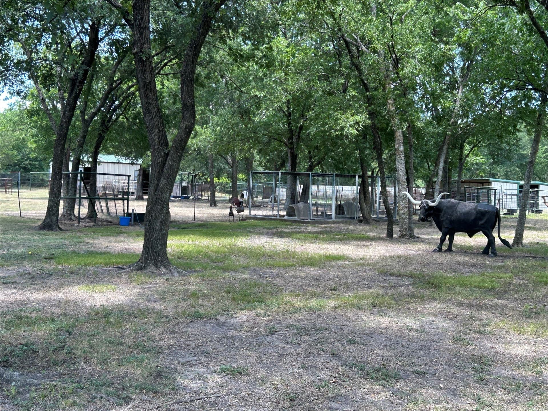 8.25 acres in Ellis County - photo 19