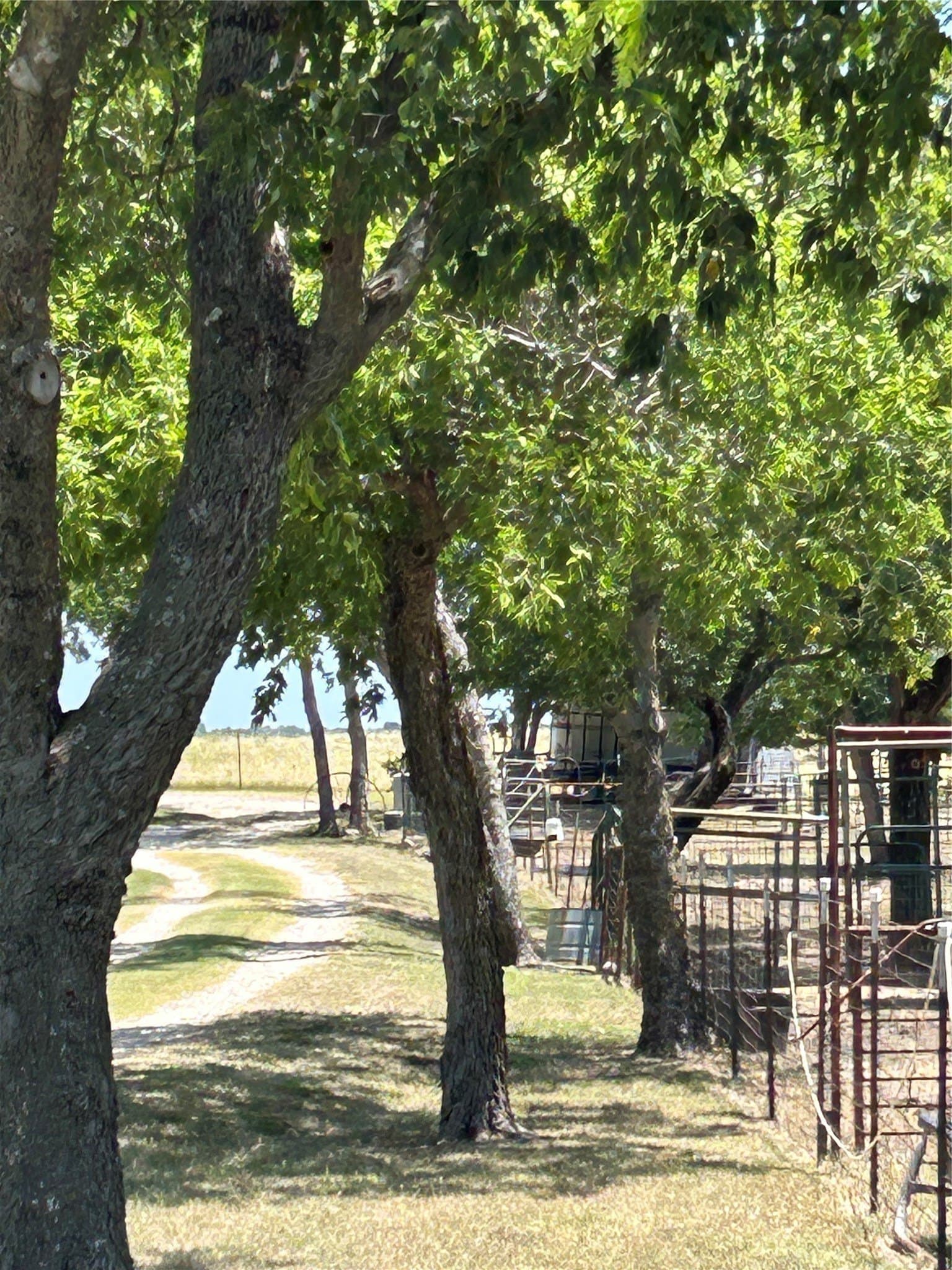 8.25 acres in Ellis County - photo 23