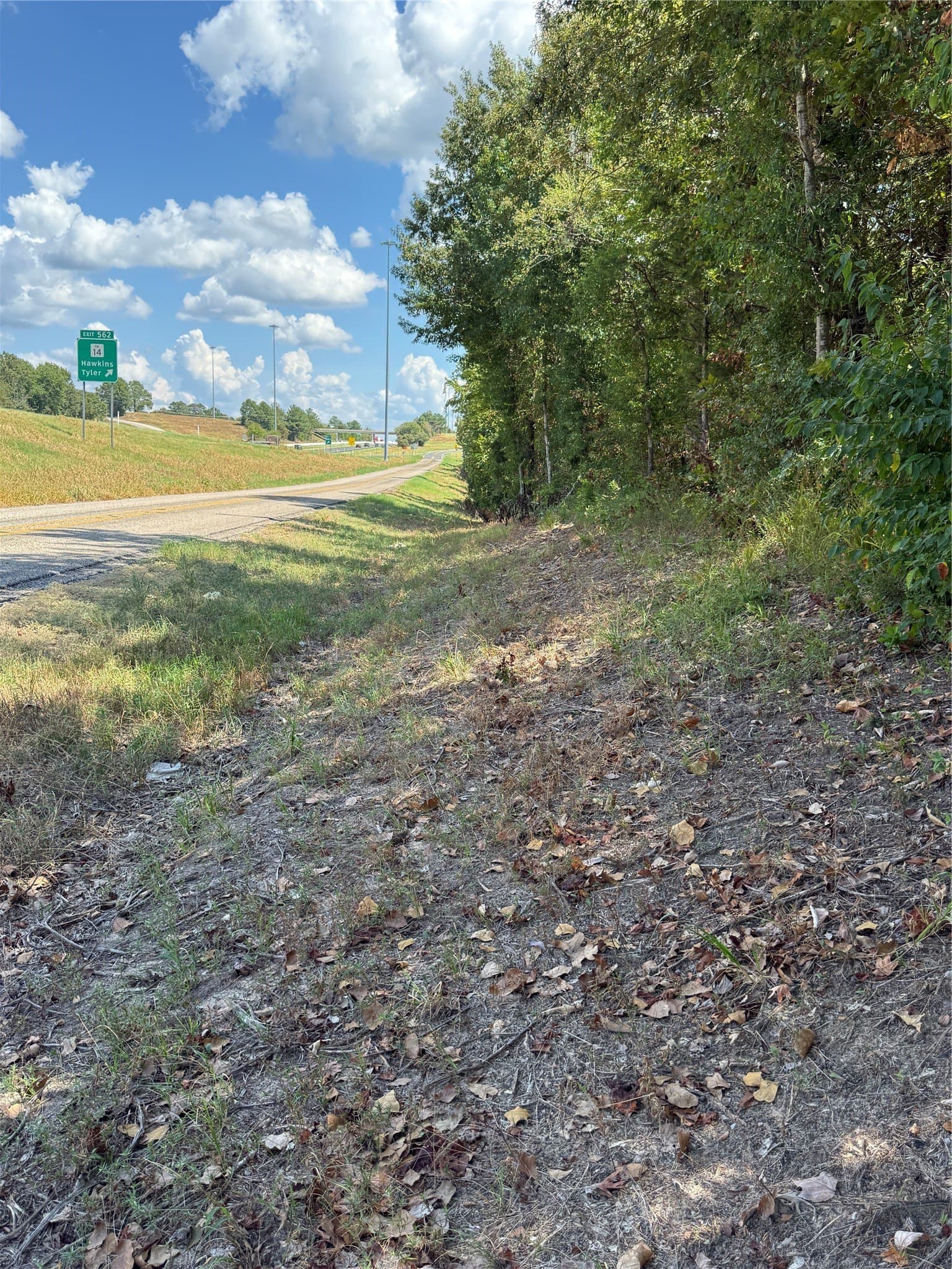 14.07 acres in Smith County - photo 5