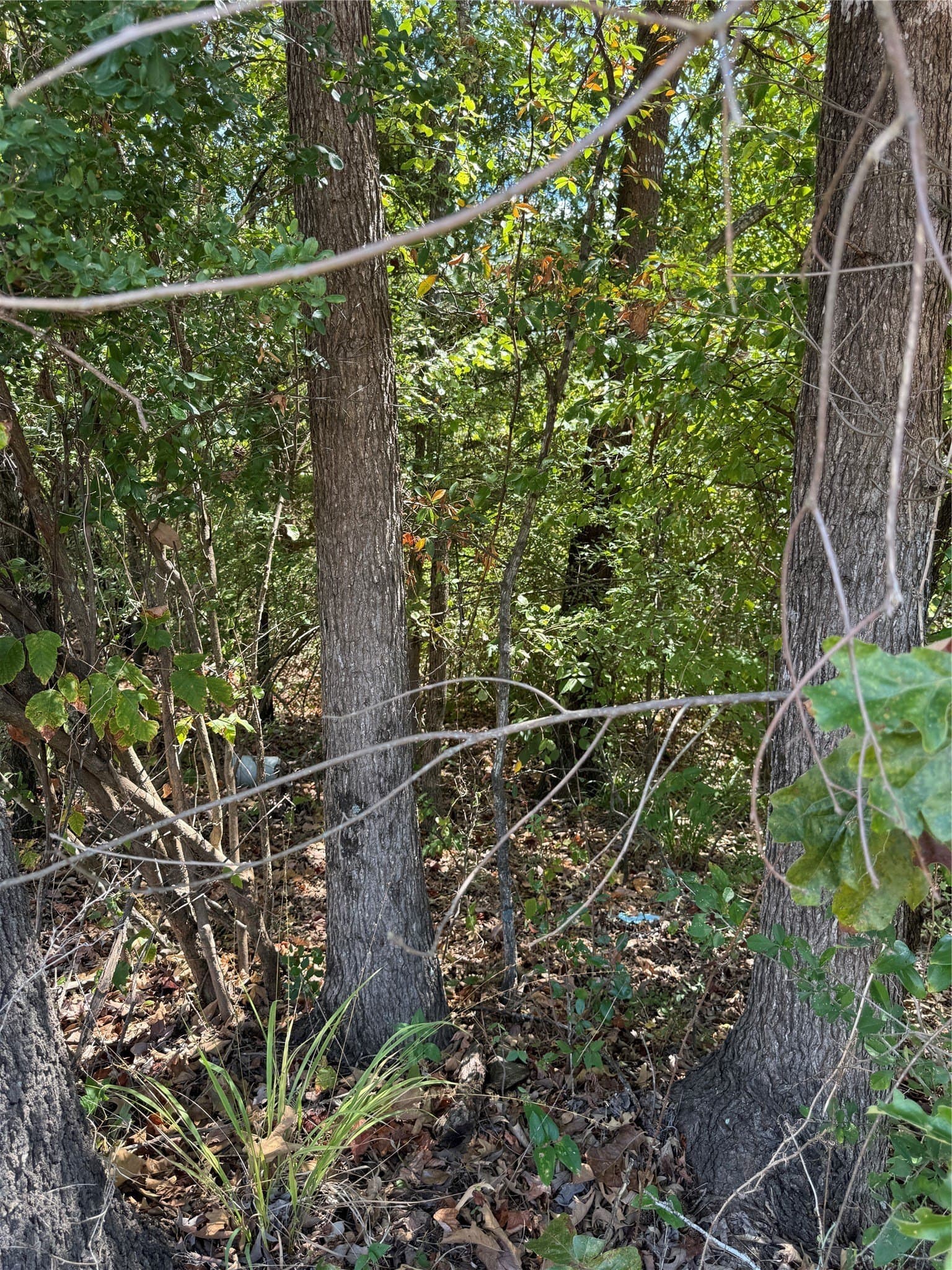 14.07 acres in Smith County - photo 6