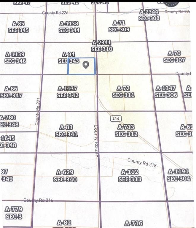 160 acres in Gaines County gallery image 3