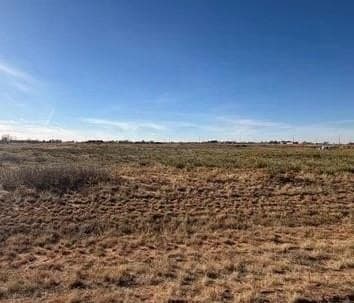 160 acres in Gaines County gallery image 4