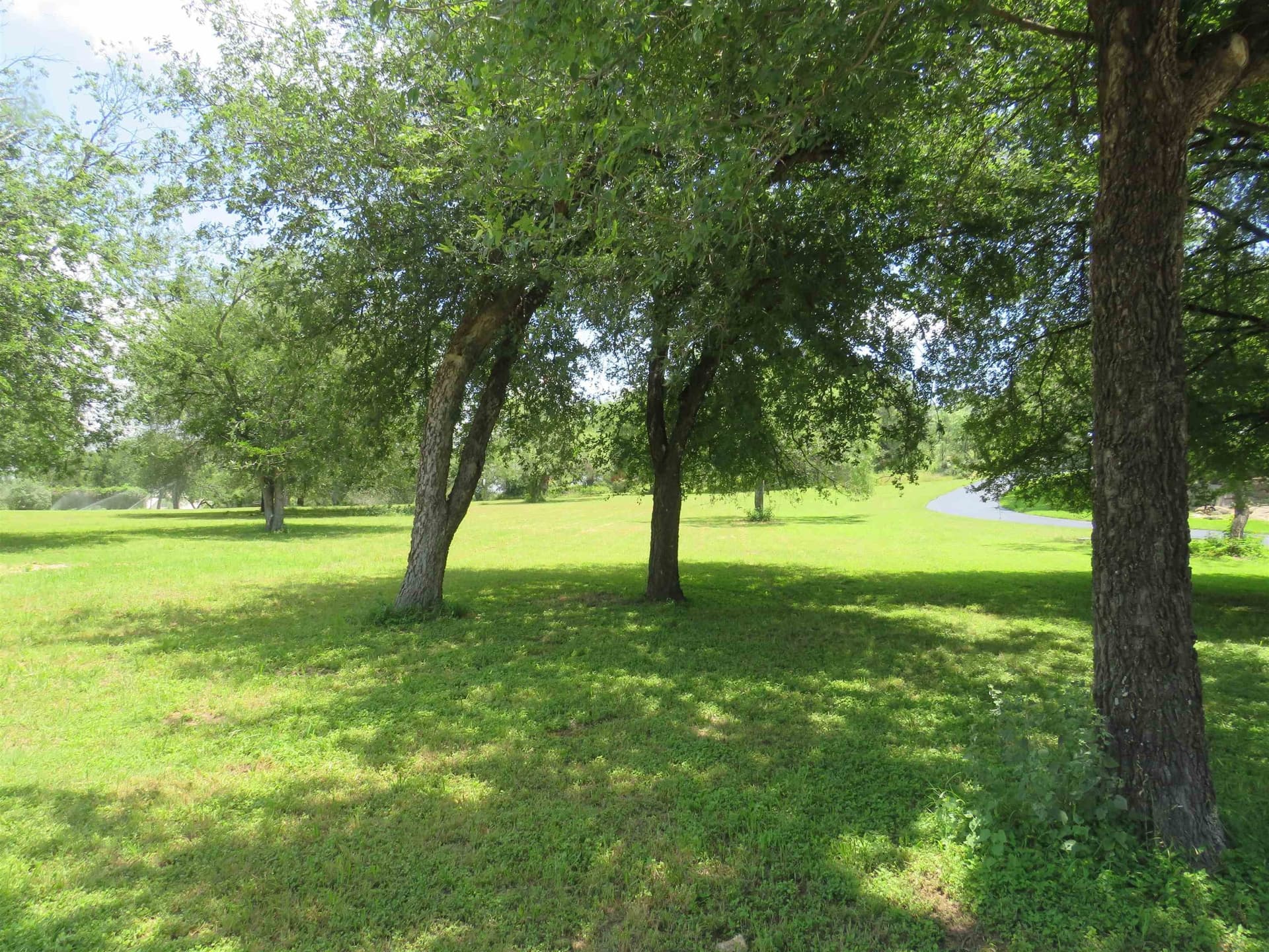 0.9 acres in Llano County gallery image 2