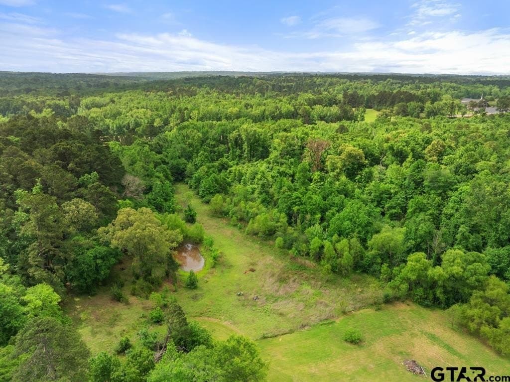 6.31 acres in Smith County - photo 6