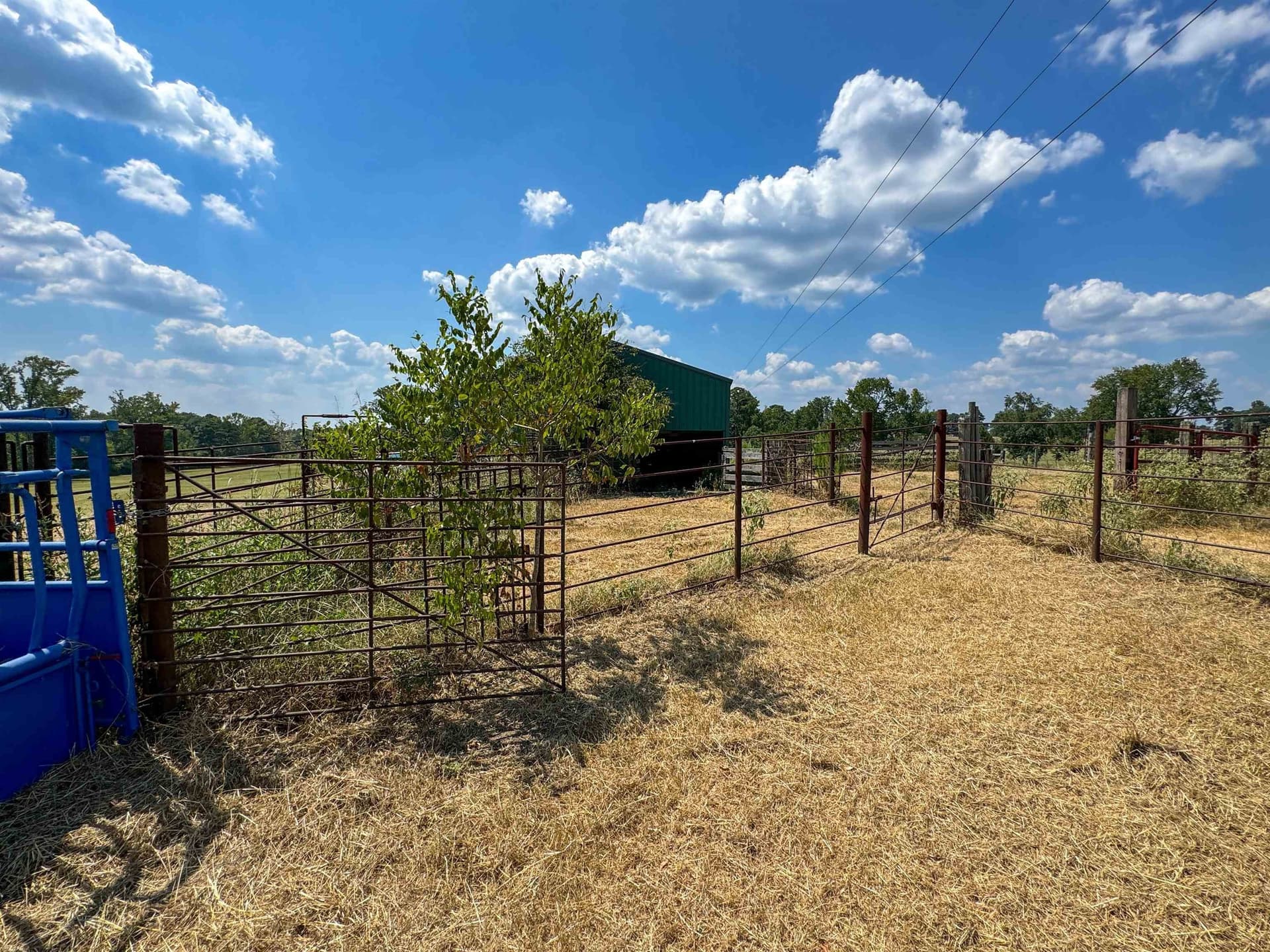 27 acres in Cass County - photo 10