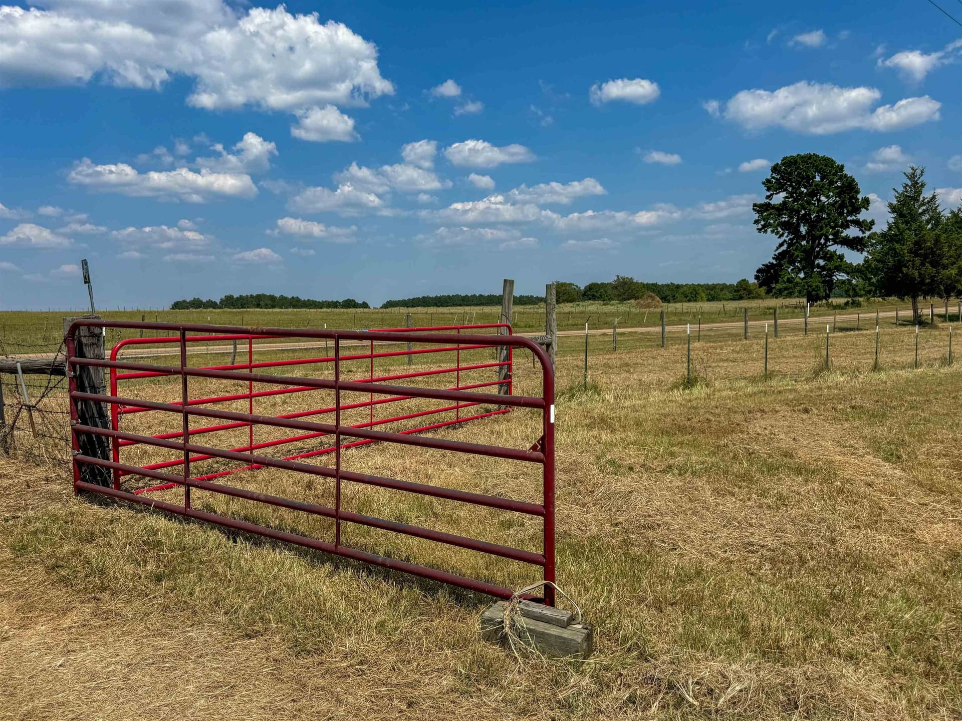 27 acres in Cass County - photo 16