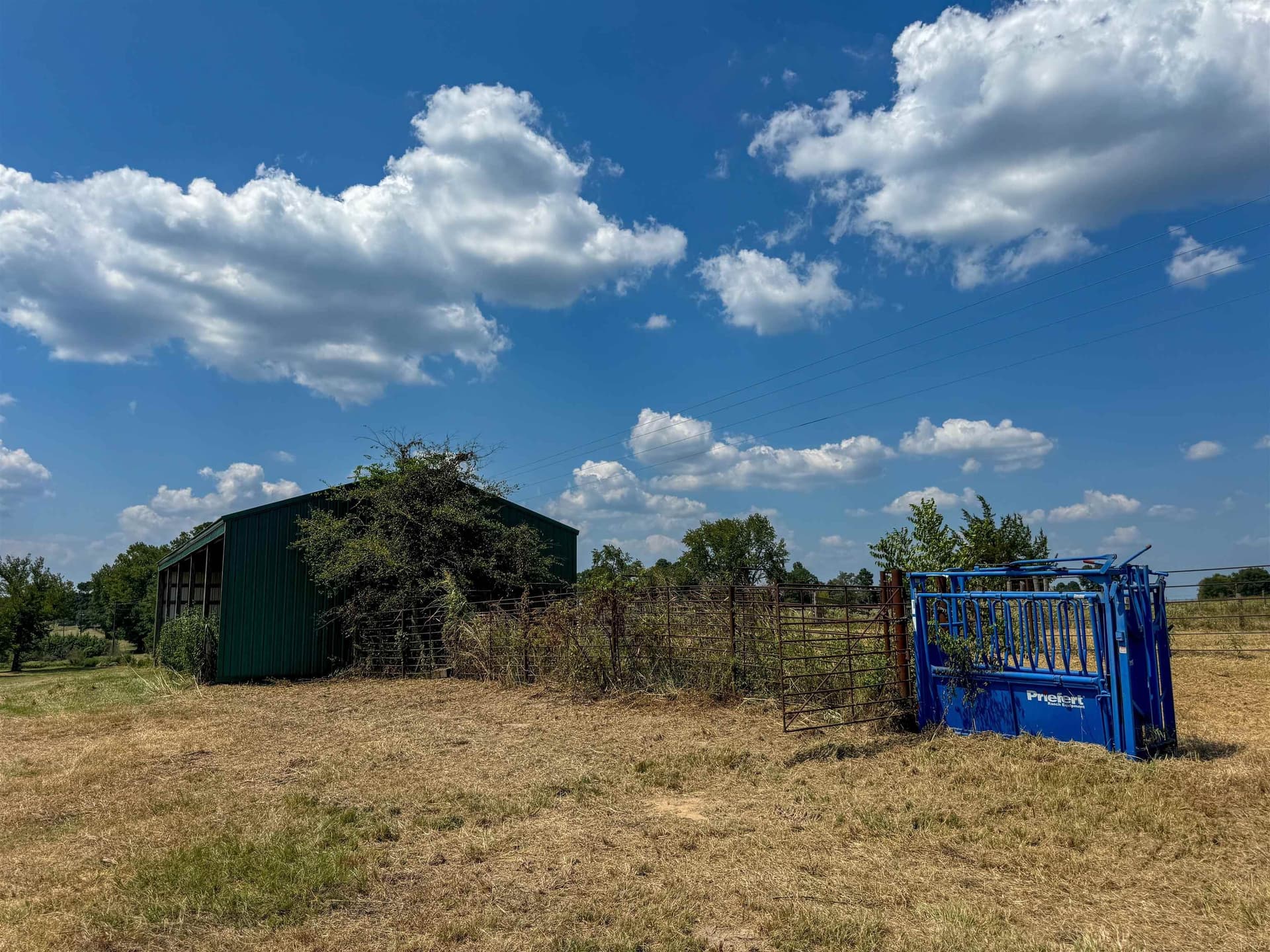27 acres in Cass County - photo 11