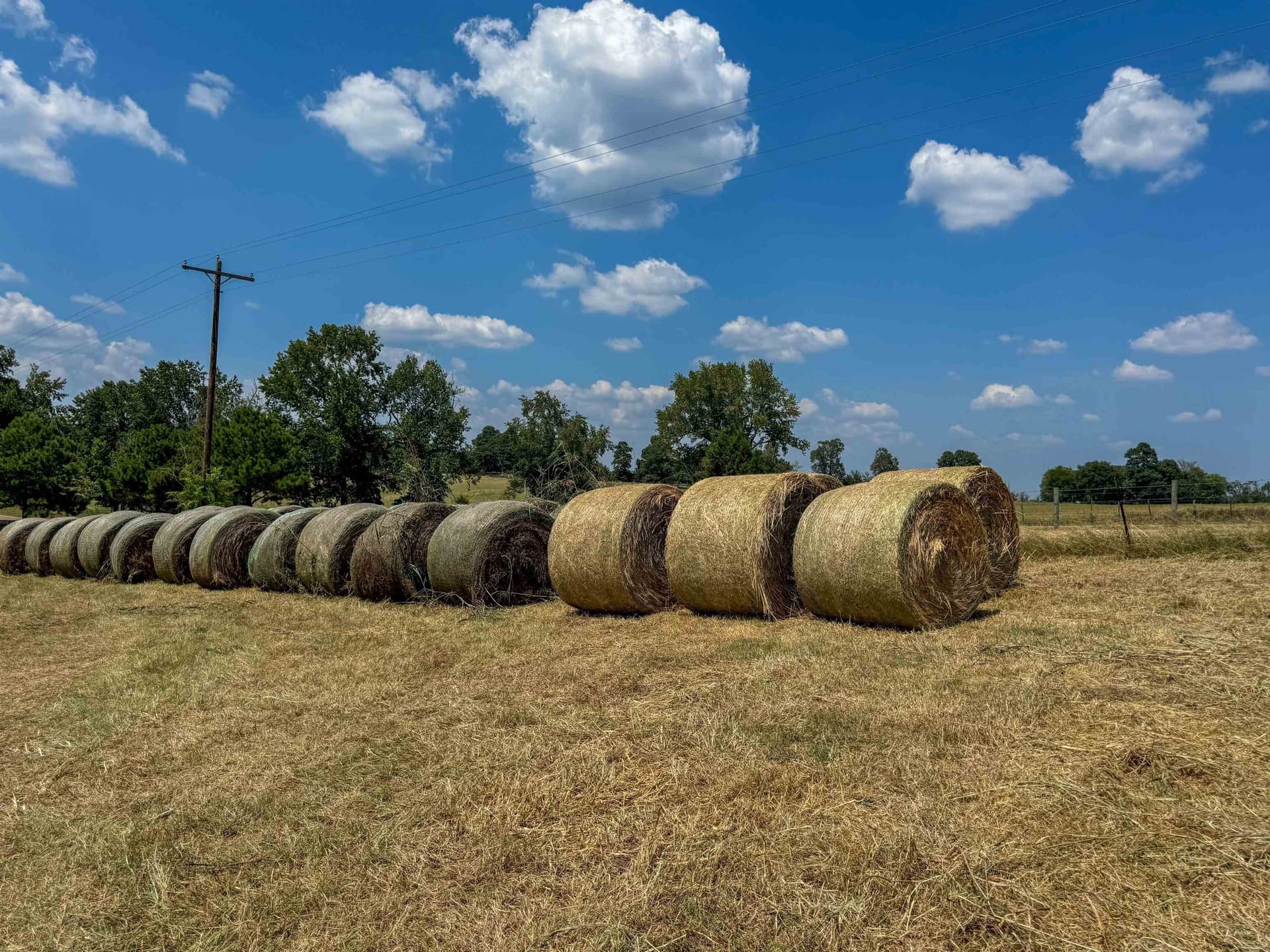 27 acres in Cass County - photo 15