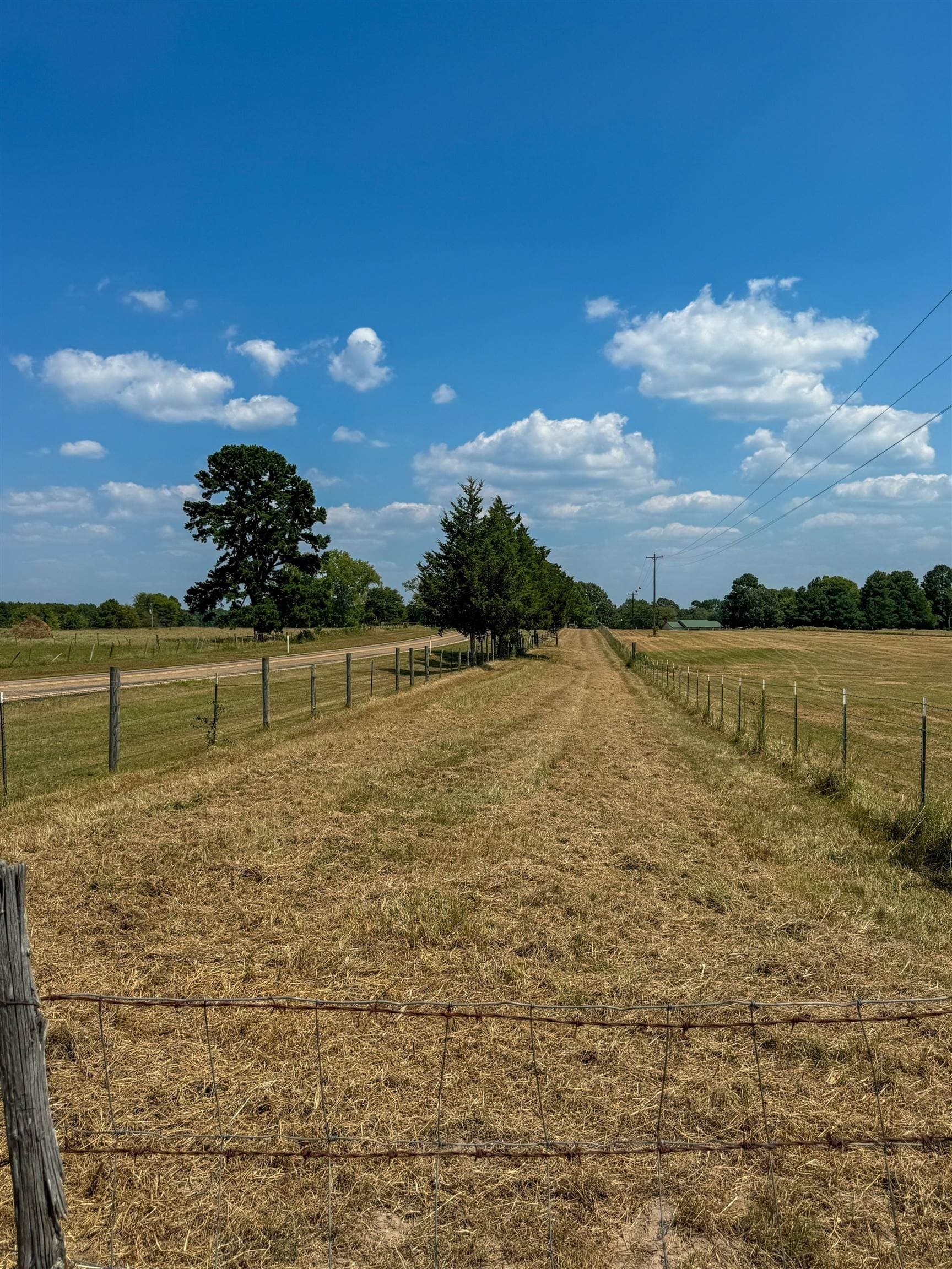 27 acres in Cass County - photo 18