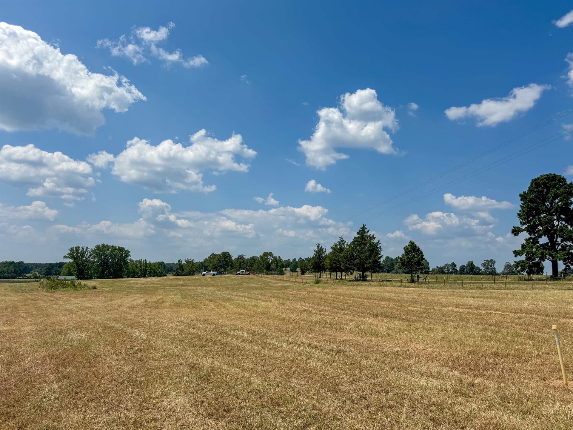 27 acres in Cass County gallery image 3